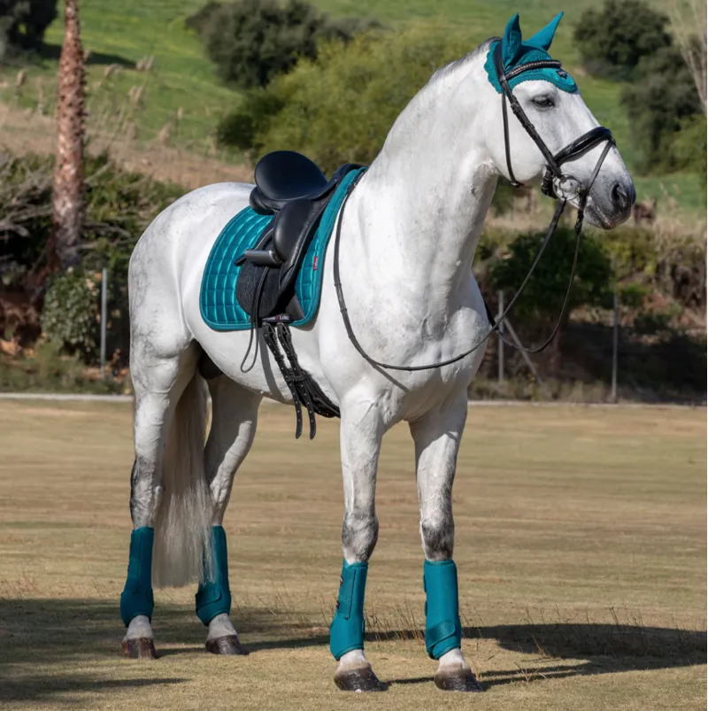 LeMieux Support Boots Peacock-1